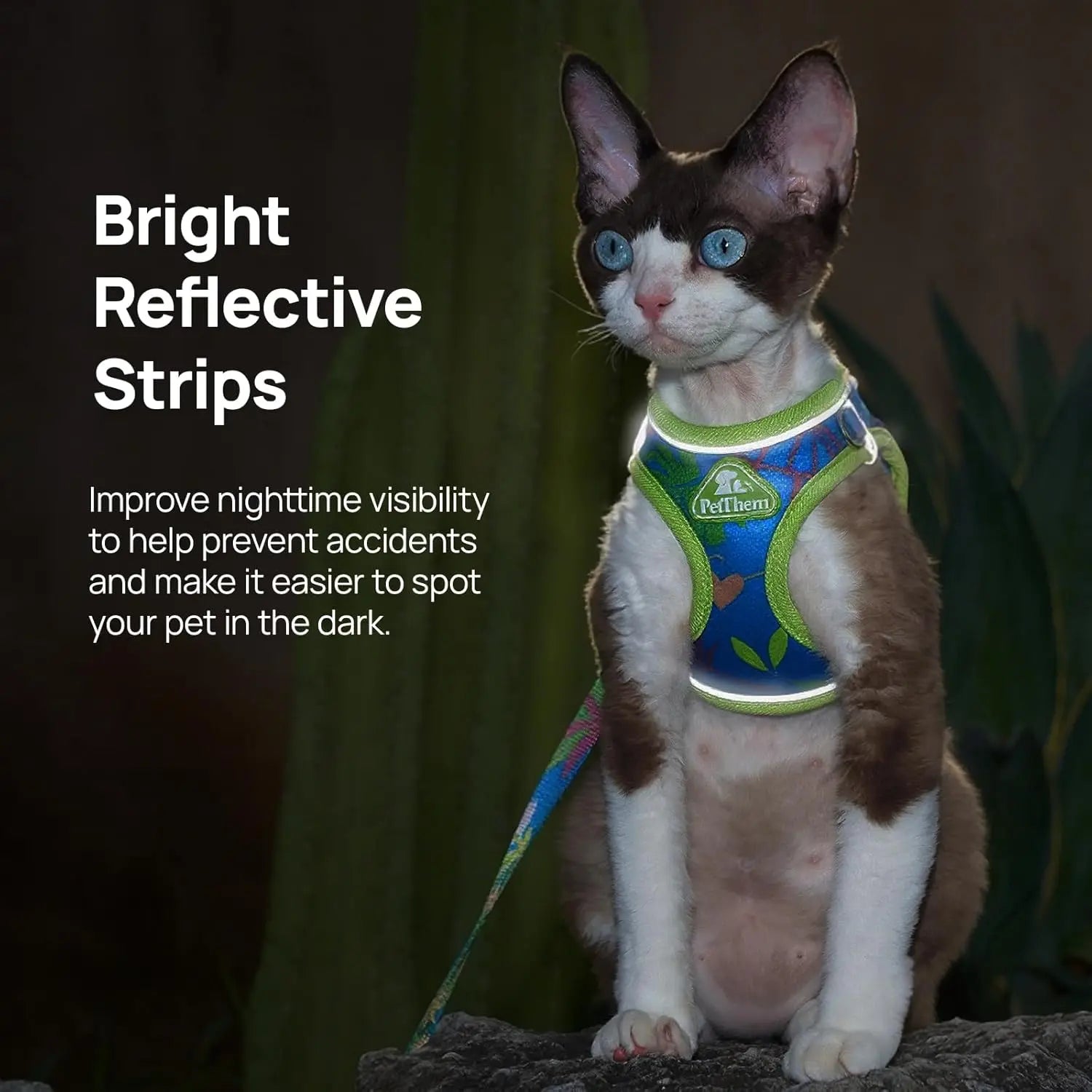 Petthem Adjustable Reflective Soft Mesh Cat Harness and Leash Set - Lightweight, Escape-Proof Walking Vest for Cats and Small Dogs, Perfect for Outdoor Adventures