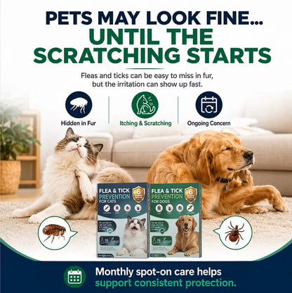 Spot on Pet Daily Topical Skin Care Serum - 6-Tube Pack, Soothing Cleansing Liquid for Cats & Dogs, Supports 6 Months of Use, Provides 30 Days of Skin Relief