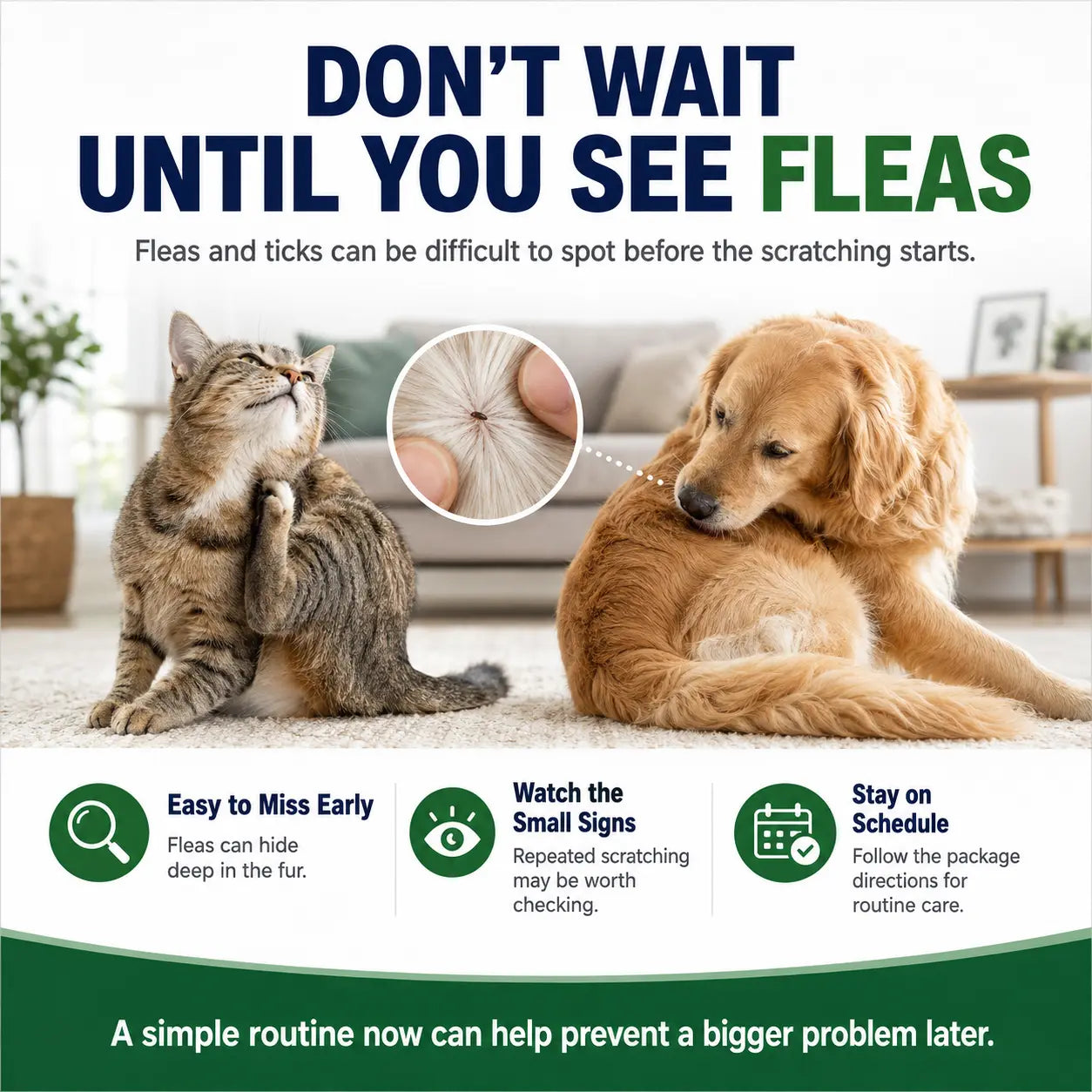 Spot on Pet Daily Topical Skin Care Serum - 6-Tube Pack, Soothing Cleansing Liquid for Cats & Dogs, Supports 6 Months of Use, Provides 30 Days of Skin Relief